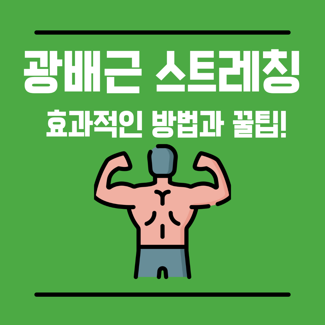 광배근스트레칭