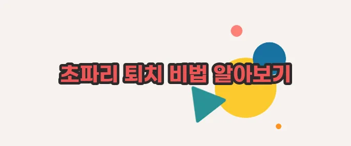 초파리 없애는 방법 정확히 짚어볼게요