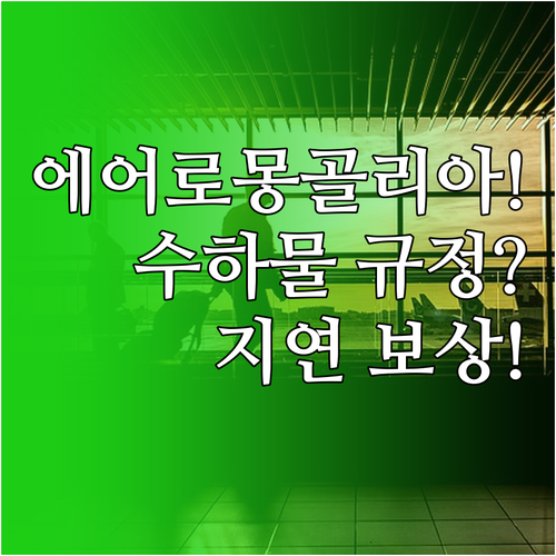 에어로 몽골리아 수하물 규정 및 지연..