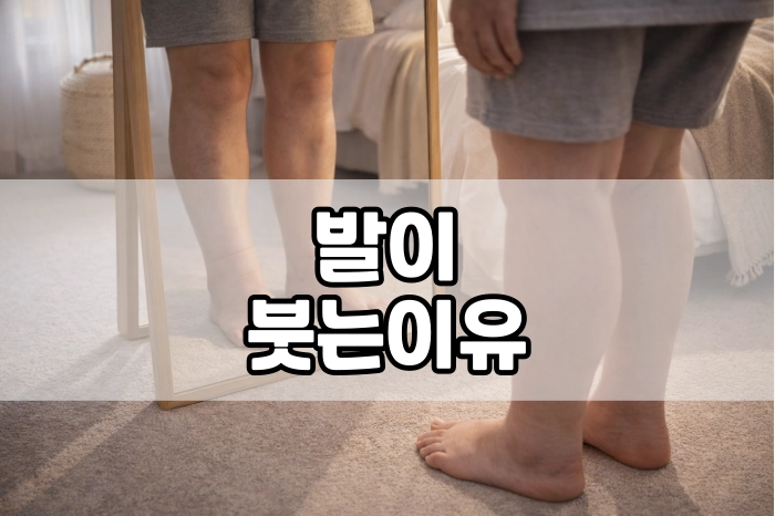 발이 붓는 이유