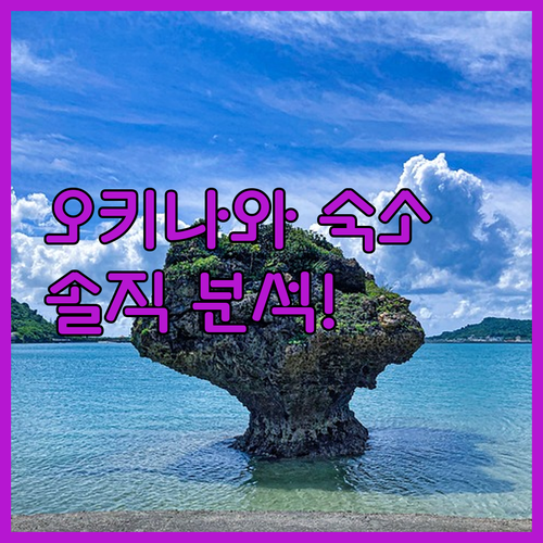 직접 분석한 오키나와 호텔 4곳 장단..