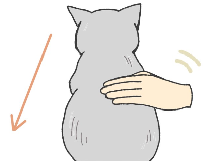 털의 흐름을 따라 쓰다듬다.