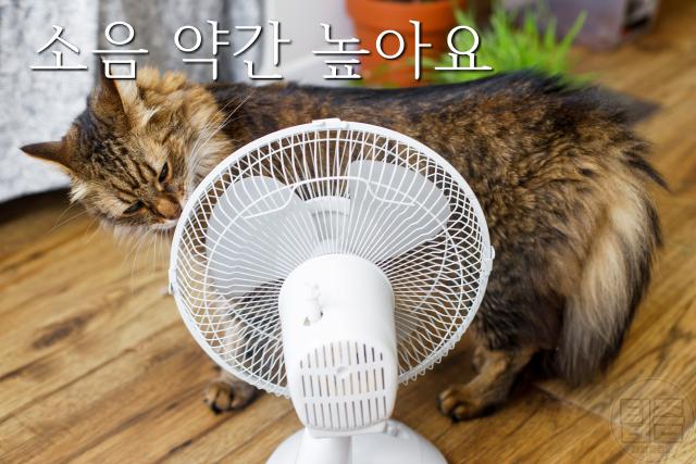 선풍기 날개 3개짜리와 5개짜리 차이점, 바라소리, 팁줌