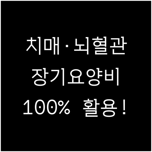 치매 및 뇌혈관 질환 어르신 장기요양..