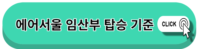 임산부 비행기