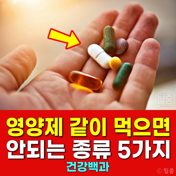 영양제 같이 먹으면 안되는 종류 영양제 같이 복용 유산균 홍삼 셀레늄 철분 비타민