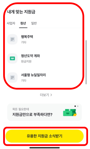 카톡 정부지원금 조회