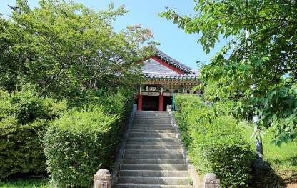 강원권 수국명소 추천 7곳, 여름 여행지로 꼭 가봐야 할 인생샷 스폿 총정리