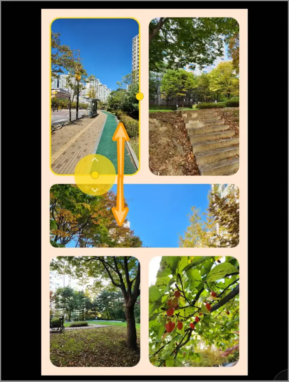 갤럭시-콜라주-칸-크기변경