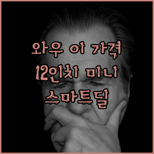 와우 이 가격 실화?! 12인치 초미