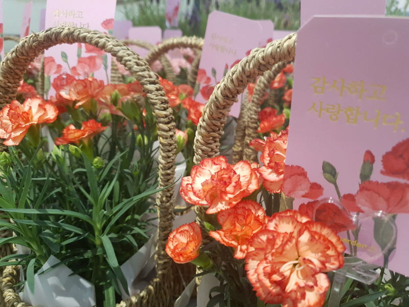 어버이날-카네이션-선물