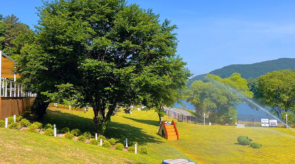 블랙스톤 벨포레 리조트