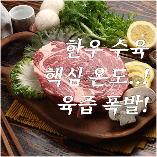 한우 수육 부위별 최적 삶는 온도 시..