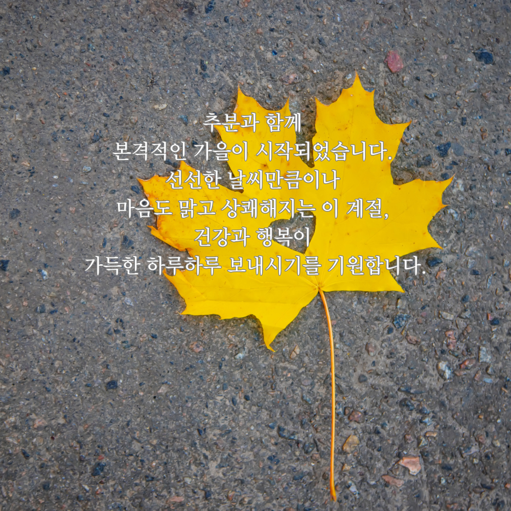 가을 인사말 추분 이미지 문구 모음집