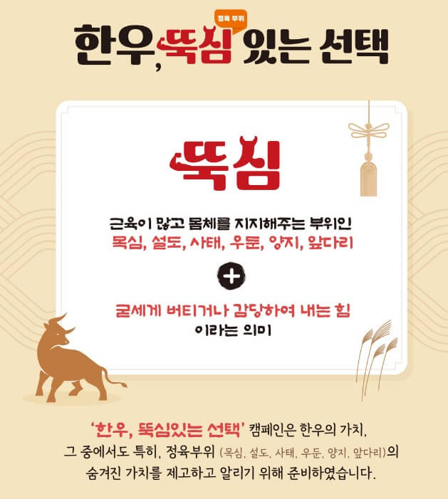 한우세일 소프라이즈