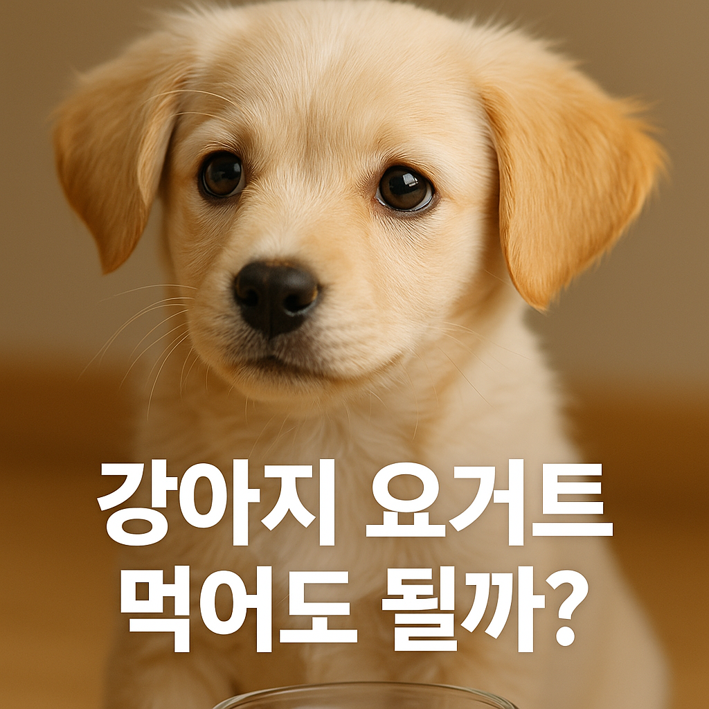 강아지 요거트 먹어도 될까?, 실사형 이미지