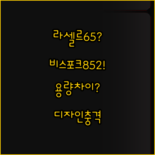라셀르 65박스 vs 삼성 비스포크 ..
