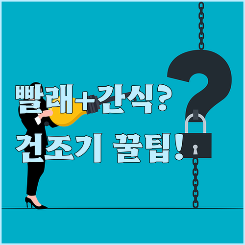 건강 간식부터 빨래 먼지까지 건조기 ..