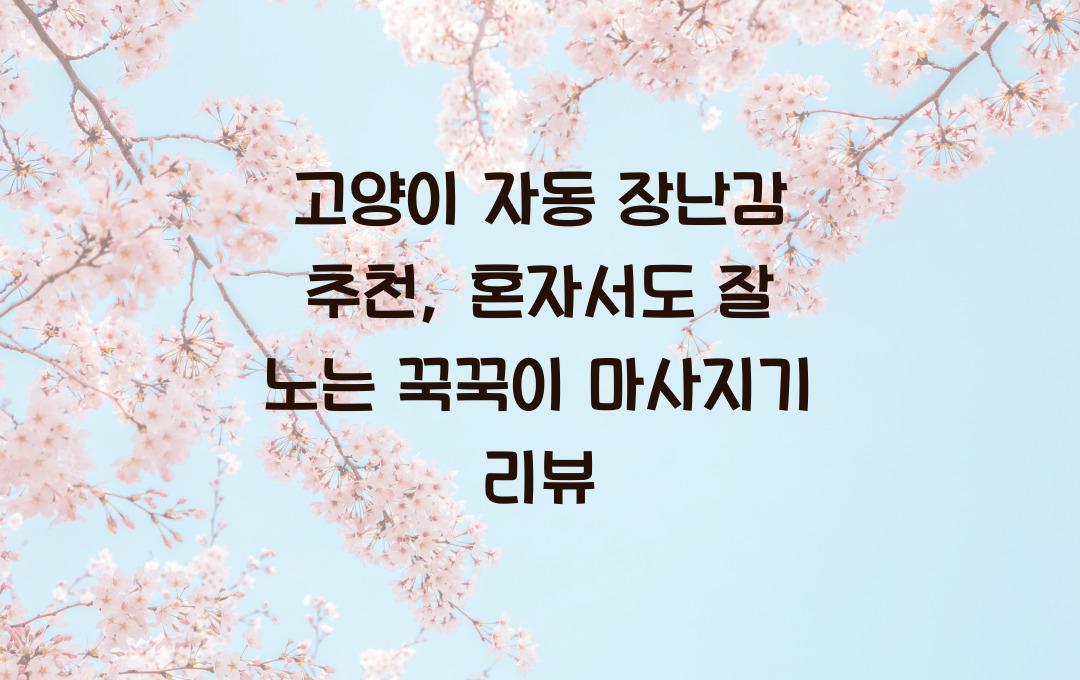 고양이 자동 장난감 추천, 혼자서도 잘 노는 아이템 리뷰