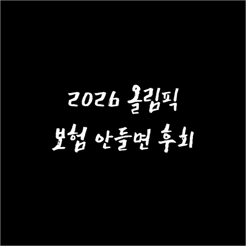 2026 동계올림픽 직관 필수 준비물..