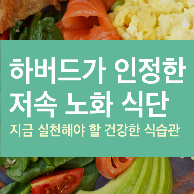 하버드가 인정한 저속 노화 식단