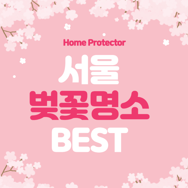 2024 서울 벚꽃 명소 추천