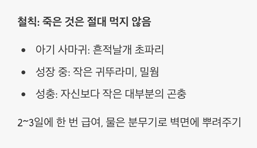 살아있는 먹이&amp;#44; 사냥 본능을 깨워라