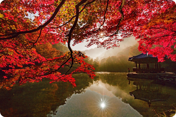 내장산 우화정 이미지/ 출처: 대한민국 구석구석