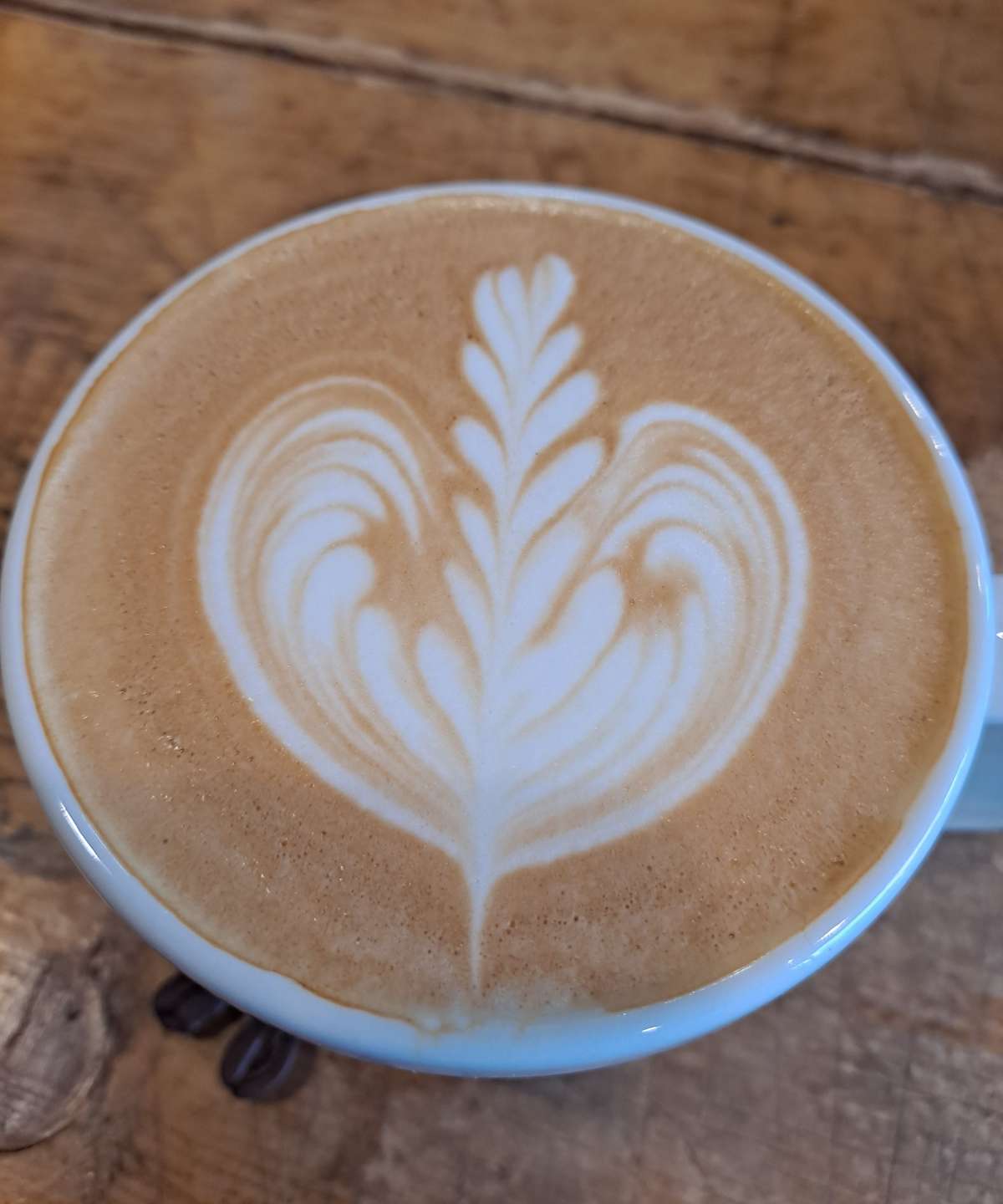 라떼아트 로제타1