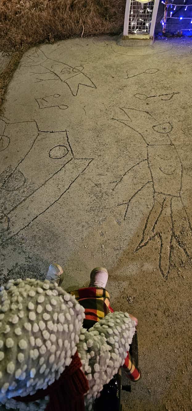 별빛정원우주 65