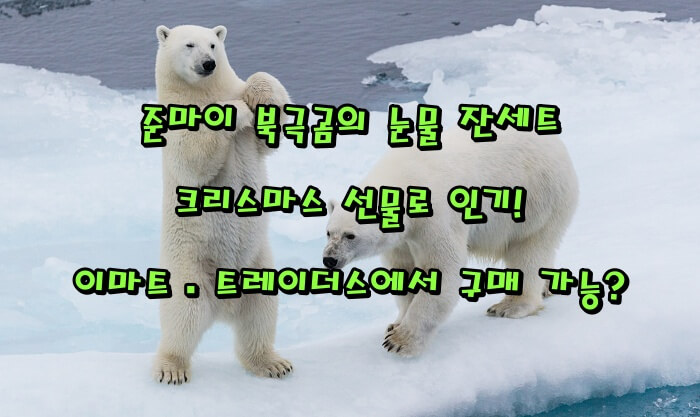 준마이 북극곰의 눈물 잔세트, 크리스마스 선물로 인기! 이마트·트레이더스에서 구매 가능?