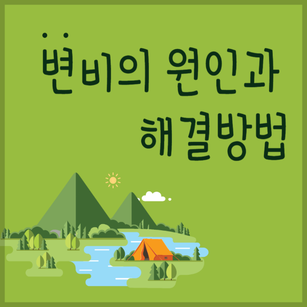 변비의 원인과 해결방법