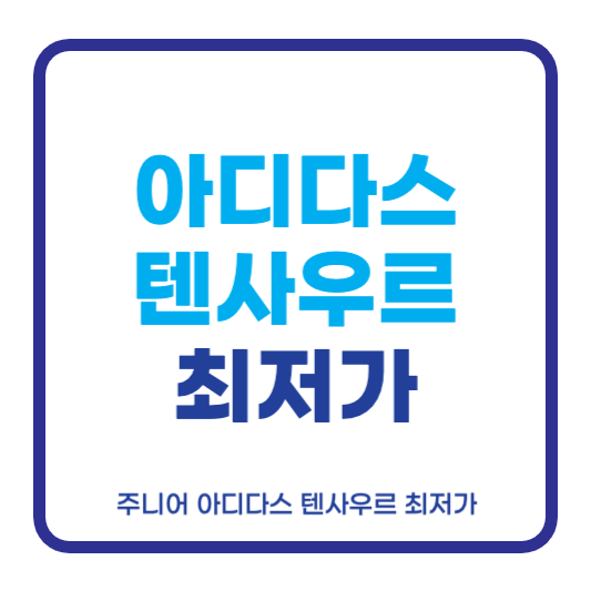 아디다스 텐사우르