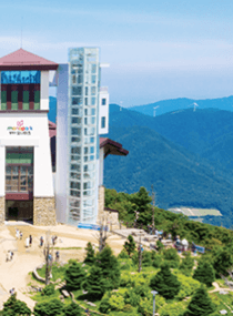 발왕산 케이블카 요금