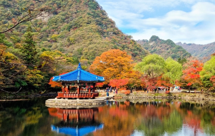 내장산 단풍 – 한국의 단풍 1번지