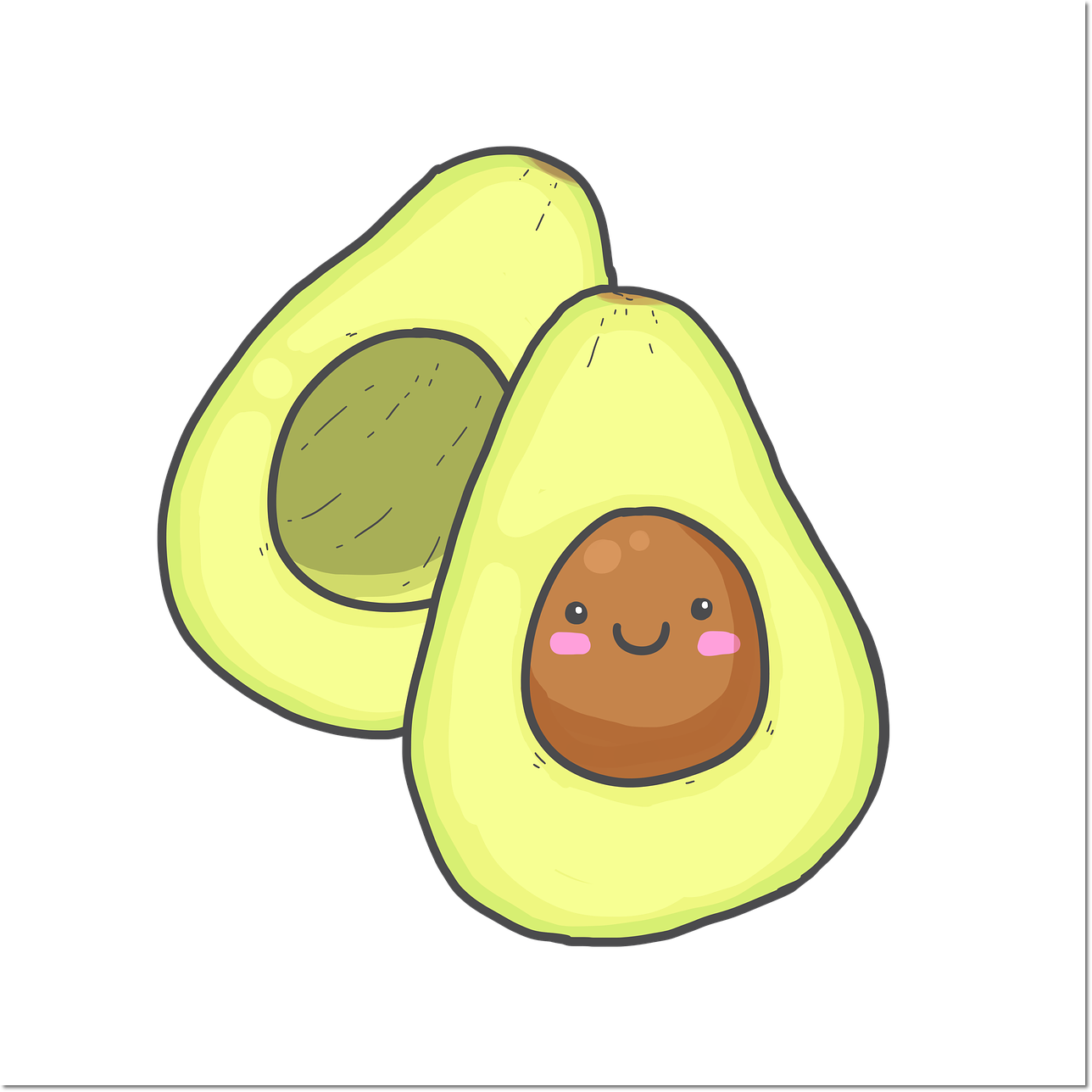아보카도