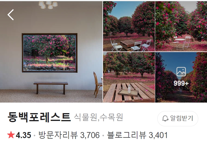 서귀포-동백-포레스트-썸네일