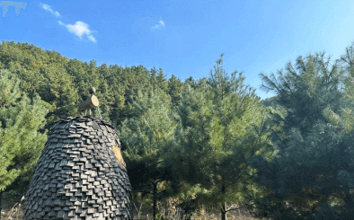 동탄 무봉산 자연휴양림 시설정보 예약방법 및 요금 할인