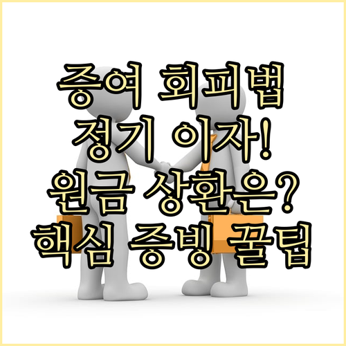 국세청 증여추정 완벽 회피 정기적 이..