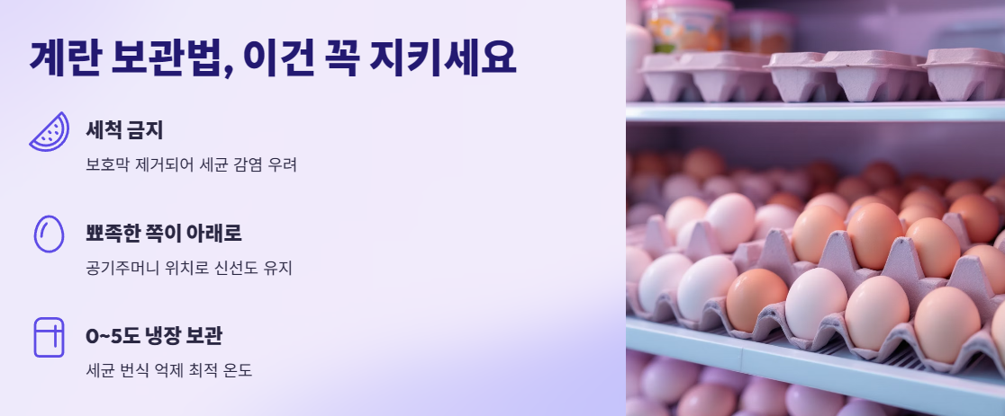계란 보관법, 이건 꼭 지키세요