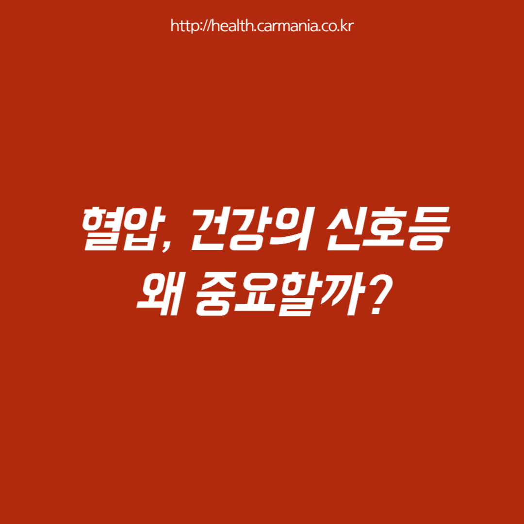 혈압, 건강의 신호등: 왜 중요할까요?