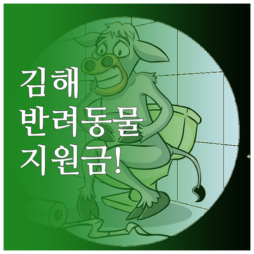 김해시 반려동물 예방접종 수술비 지원..