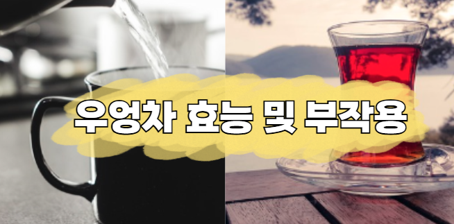 우엉차 효능 및 부작용, 물 대신 마셔도 될까? (카페인 없는차)