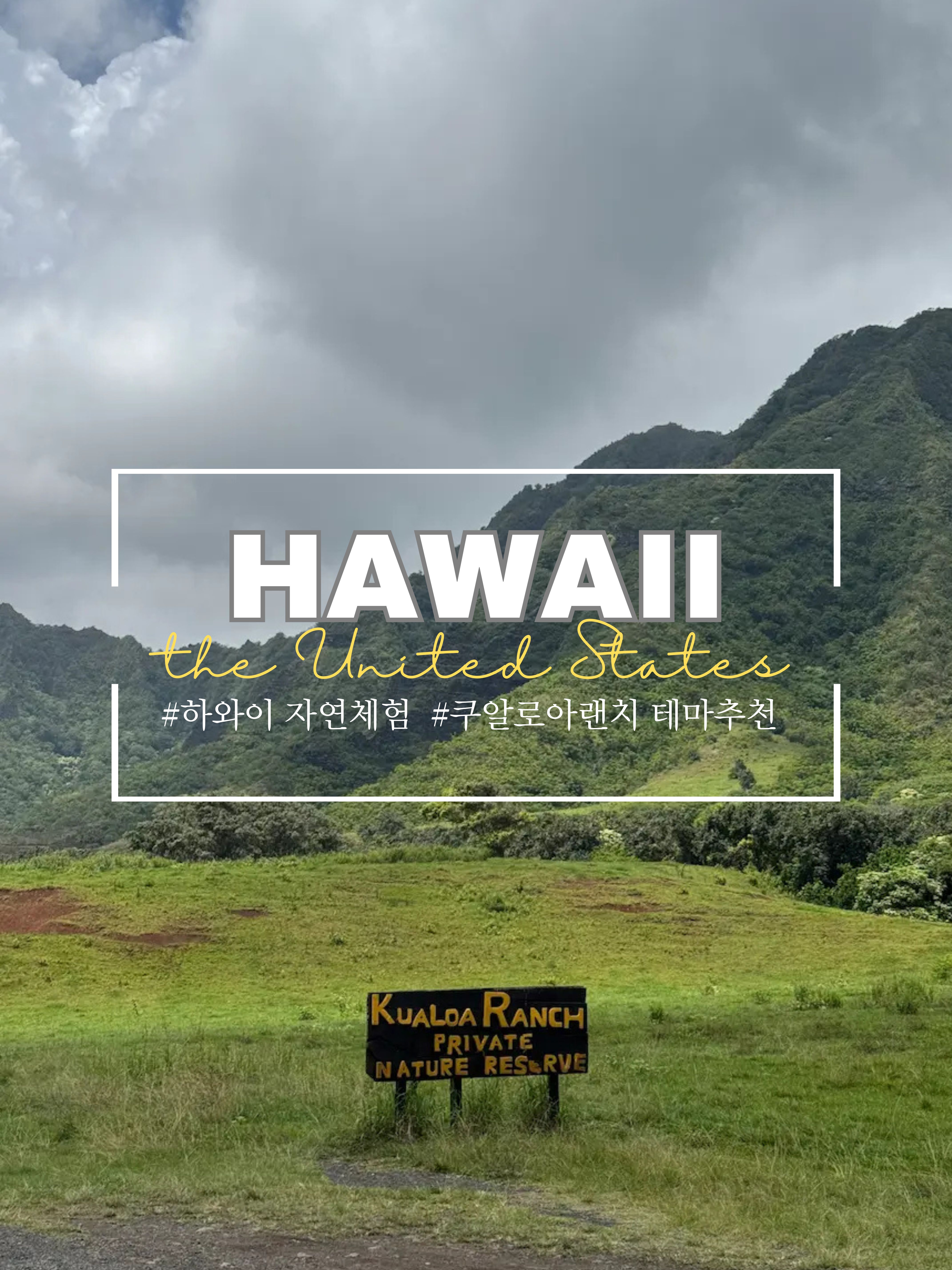 쿠알로아랜치 의 잔디밭과 산