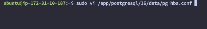 postgresql.conf 와 동일한 위치에 존재하는 pg_hba.conf 파일 오픈