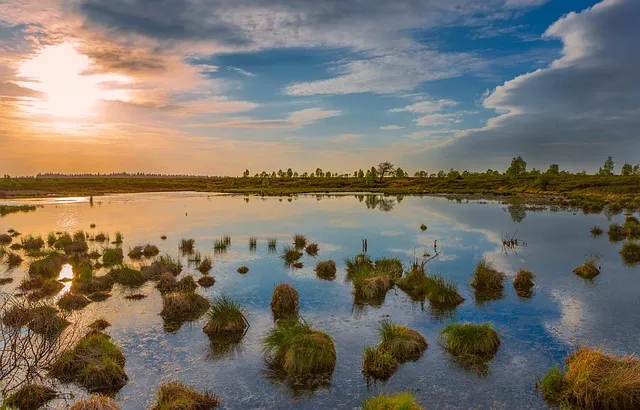 포르투갈 전통주 아과르덴트 벨랴 포도주 증류 고급 브랜디_8