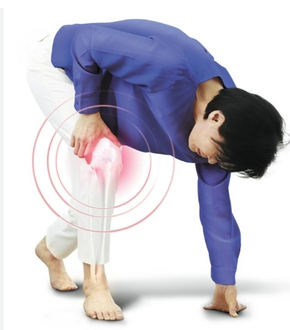 시니어 무릎 관리 운동&amp;#44; 통증 없는 60대를 위한 5가지 방법