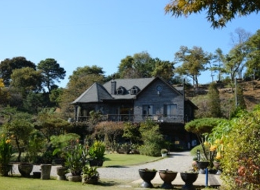 옥천/핫플레이스/대청호/천상의/정원/수생학습식물원