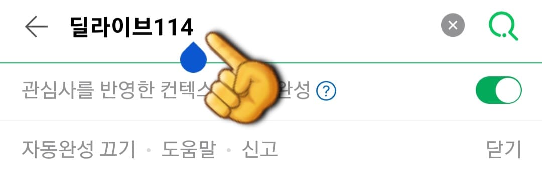 딜라이브-편성표-및-채널번호-확인-방법-안내-다음,-네이버,-구글-포털-사이트에서-딜라이브114를-입력한-후,-검색합니다.
