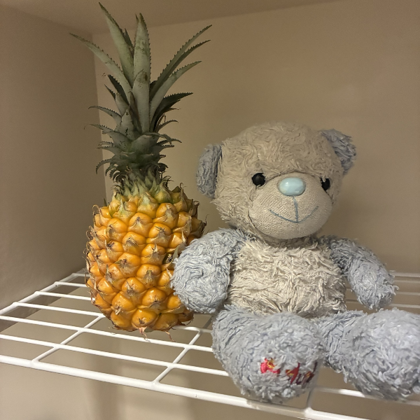 이시가키지마 스낵파인